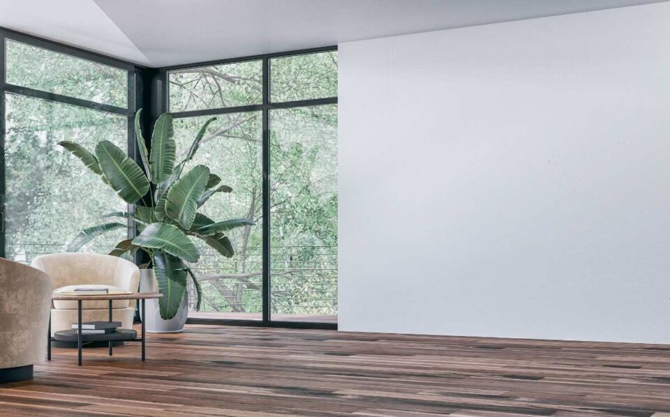 Minimalist Window Designs for More Natural Light